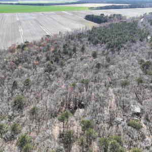 Photo #6 of 283 S. Fork creek Road, Columbia, NC 34.0 acres
