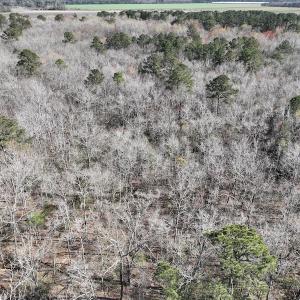 Photo #13 of 283 S. Fork creek Road, Columbia, NC 34.0 acres