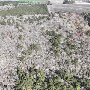 Photo #2 of 283 S. Fork creek Road, Columbia, NC 34.0 acres