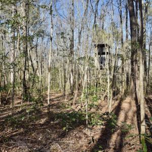 Photo #20 of 283 S. Fork creek Road, Columbia, NC 34.0 acres