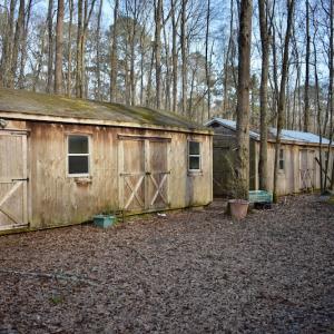 Photo #25 of 283 S. Fork creek Road, Columbia, NC 34.0 acres