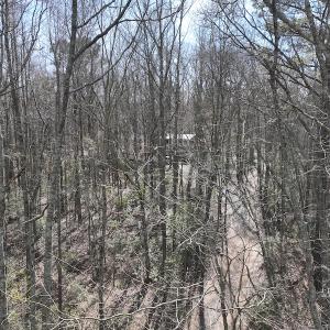 Photo #27 of 283 S. Fork creek Road, Columbia, NC 34.0 acres