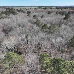 Photo #28 of 283 S. Fork creek Road, Columbia, NC 34.0 acres