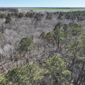 Photo #29 of 283 S. Fork creek Road, Columbia, NC 34.0 acres