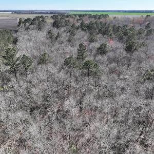 Photo #32 of 283 S. Fork creek Road, Columbia, NC 34.0 acres