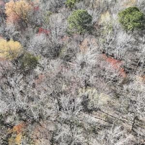 Photo #33 of 283 S. Fork creek Road, Columbia, NC 34.0 acres
