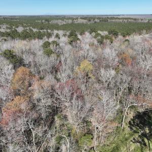 Photo #35 of 283 S. Fork creek Road, Columbia, NC 34.0 acres