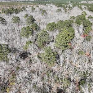 Photo #36 of 283 S. Fork creek Road, Columbia, NC 34.0 acres
