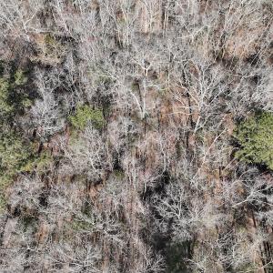 Photo #37 of 283 S. Fork creek Road, Columbia, NC 34.0 acres