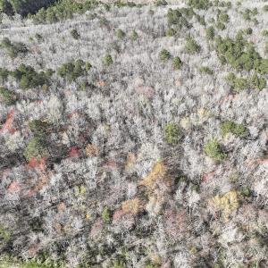 Photo #40 of 283 S. Fork creek Road, Columbia, NC 34.0 acres