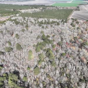 Photo #42 of 283 S. Fork creek Road, Columbia, NC 34.0 acres