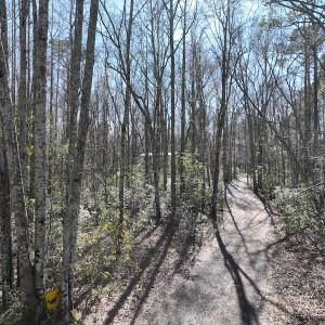 Photo #26 of 283 S. Fork creek Road, Columbia, NC 34.0 acres