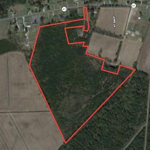 Photo #1 of SOLD property in Off White Lane , Trenton, NC 48.4 acres
