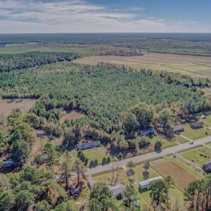 Photo #10 of SOLD property in Off White Lane , Trenton, NC 48.4 acres