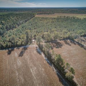 Photo #12 of SOLD property in Off White Lane , Trenton, NC 48.4 acres