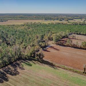 Photo #13 of SOLD property in Off White Lane , Trenton, NC 48.4 acres