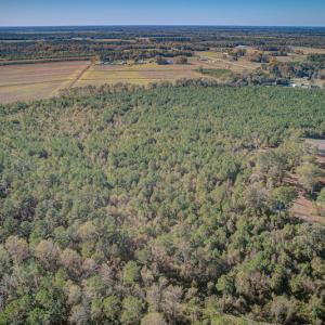 Photo #14 of SOLD property in Off White Lane , Trenton, NC 48.4 acres