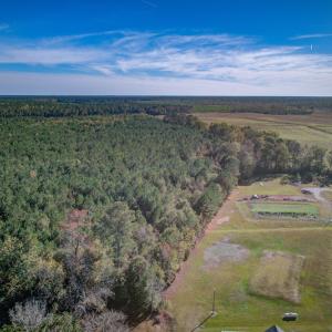 Photo #17 of SOLD property in Off White Lane , Trenton, NC 48.4 acres