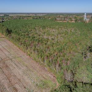 Photo #18 of SOLD property in Off White Lane , Trenton, NC 48.4 acres