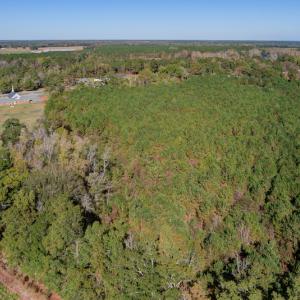 Photo #21 of SOLD property in Off White Lane , Trenton, NC 48.4 acres