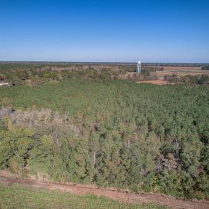 Photo #22 of SOLD property in Off White Lane , Trenton, NC 48.4 acres