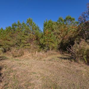 Photo #24 of SOLD property in Off White Lane , Trenton, NC 48.4 acres