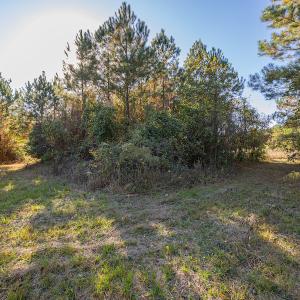 Photo #27 of SOLD property in Off White Lane , Trenton, NC 48.4 acres