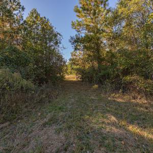 Photo #28 of SOLD property in Off White Lane , Trenton, NC 48.4 acres