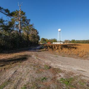 Photo #29 of SOLD property in Off White Lane , Trenton, NC 48.4 acres