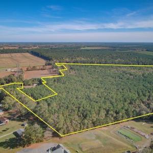 Photo #4 of SOLD property in Off White Lane , Trenton, NC 48.4 acres
