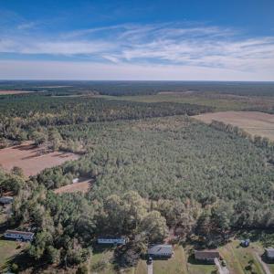 Photo #6 of SOLD property in Off White Lane , Trenton, NC 48.4 acres
