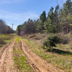 Photo #3 of SOLD property in Off Mace Road, Mebane, NC 19.1 acres