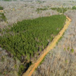 Photo #4 of SOLD property in Off Mace Road, Mebane, NC 19.1 acres