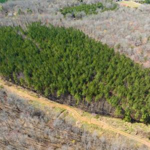 Photo #6 of SOLD property in Off Mace Road, Mebane, NC 19.1 acres