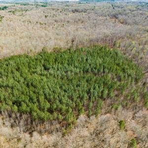 Photo #7 of SOLD property in Off Mace Road, Mebane, NC 19.1 acres