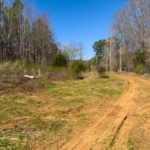 Photo #8 of SOLD property in Off Mace Road, Mebane, NC 19.1 acres