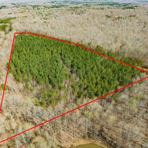 Photo #9 of SOLD property in Off Mace Road, Mebane, NC 19.1 acres