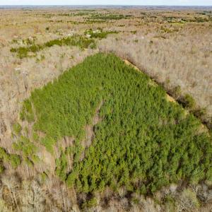 Photo #10 of SOLD property in Off Mace Road, Mebane, NC 19.1 acres