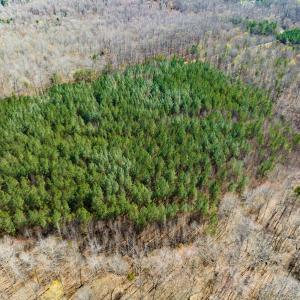 Photo #12 of SOLD property in Off Mace Road, Mebane, NC 19.1 acres
