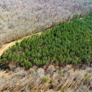Photo #13 of SOLD property in Off Mace Road, Mebane, NC 19.1 acres