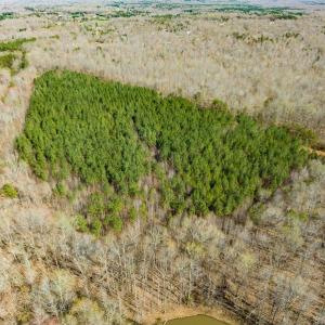 Photo #15 of SOLD property in Off Mace Road, Mebane, NC 19.1 acres