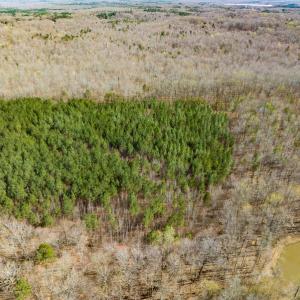 Photo #16 of SOLD property in Off Mace Road, Mebane, NC 19.1 acres