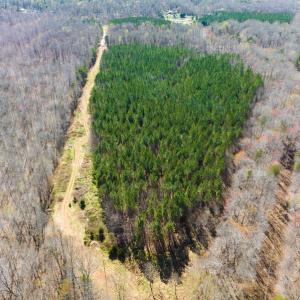 Photo #19 of SOLD property in Off Mace Road, Mebane, NC 19.1 acres