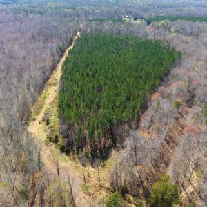 Photo #21 of SOLD property in Off Mace Road, Mebane, NC 19.1 acres