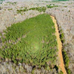 Photo #22 of SOLD property in Off Mace Road, Mebane, NC 19.1 acres