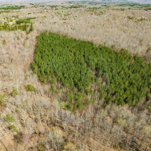 Photo #24 of SOLD property in Off Mace Road, Mebane, NC 19.1 acres