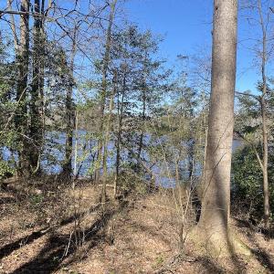 Photo #7 of 5349 Pearces Rd, Zebulon, NC 5.0 acres