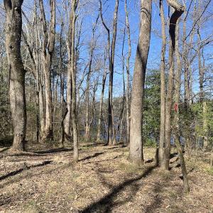 Photo #10 of 5349 Pearces Rd, Zebulon, NC 5.0 acres