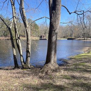 Photo #21 of 5349 Pearces Rd, Zebulon, NC 5.0 acres