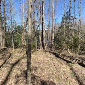 Photo #11 of 5349 Pearces Rd, Zebulon, NC 5.0 acres